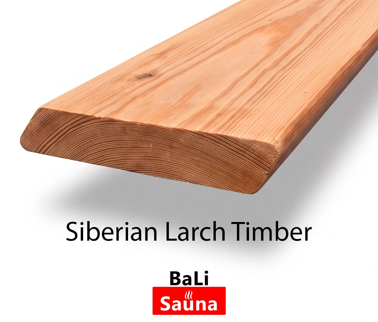 לארץ' סיבירי | Siberian Larch